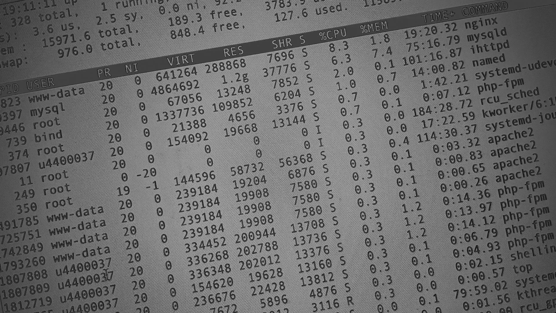 Настройка сервера в Волоколамске