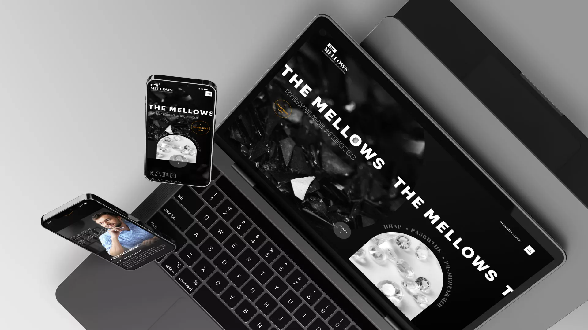 Разработка сайта креативного агентства «The Mellows» в Волоколамске